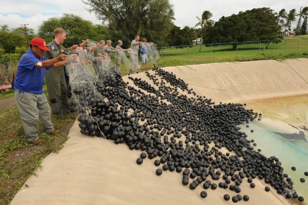 Field team deploying floating cover balls